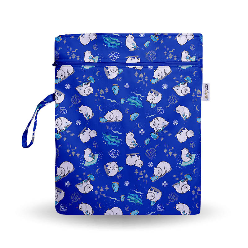 Ecopipo_BolsaImpEst_Polito