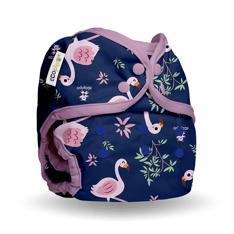 ecopipo_kids_pañal_natacion_4_8_años_broches_estampado_flamingos_derecho